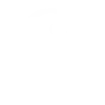 CrownBit